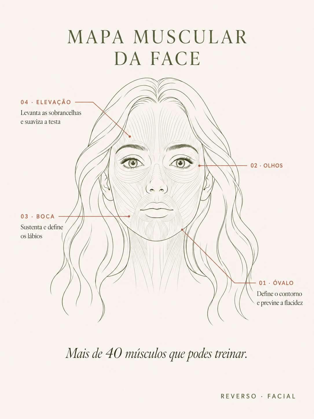 Mapa muscular da face